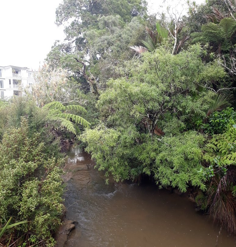 Alice Eaves Scenic Reserve-奥雷瓦必去景点