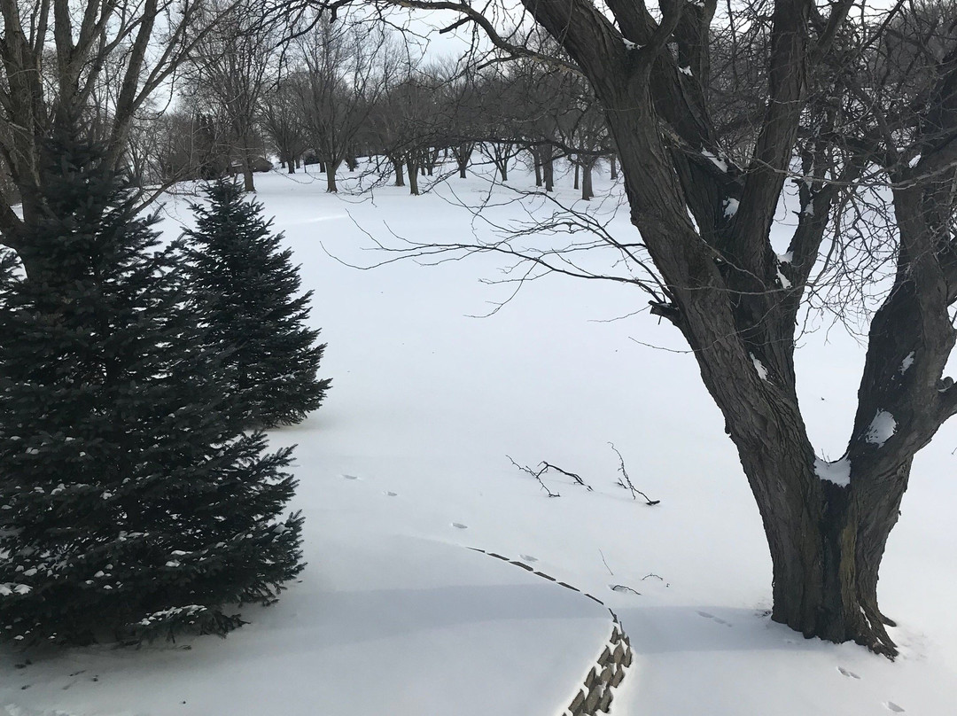 Cobblestone Inn & Suites - Denison | Majestic Hills主图