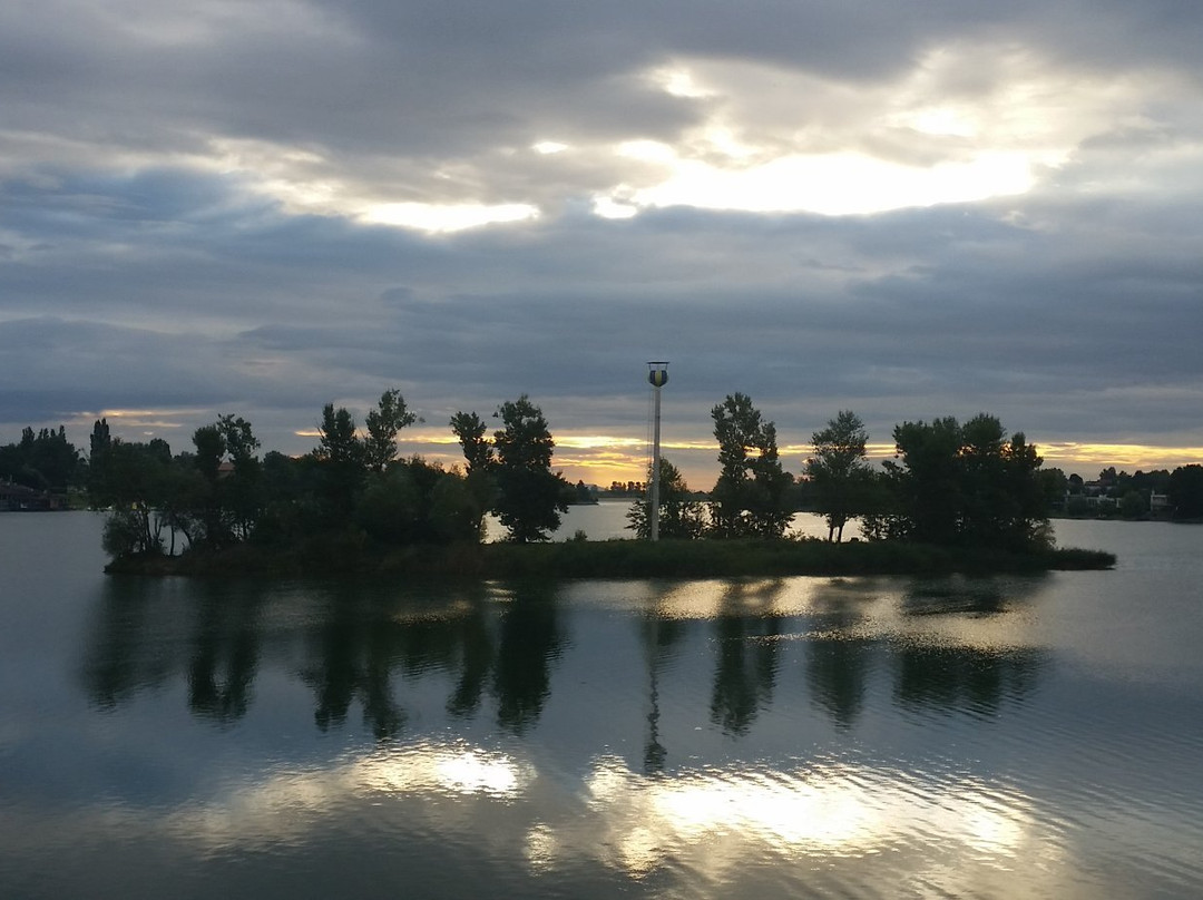 null-Senec