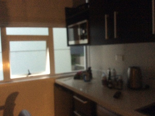 奥克兰联邦街华美公寓-酒店景观