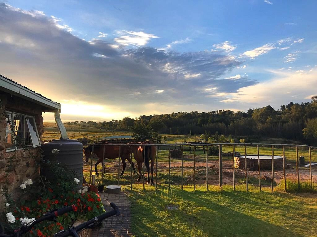 Ventersberg Stables-Fouriesburg必去景点