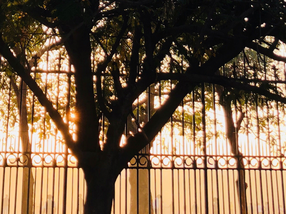Indira Park景点图片