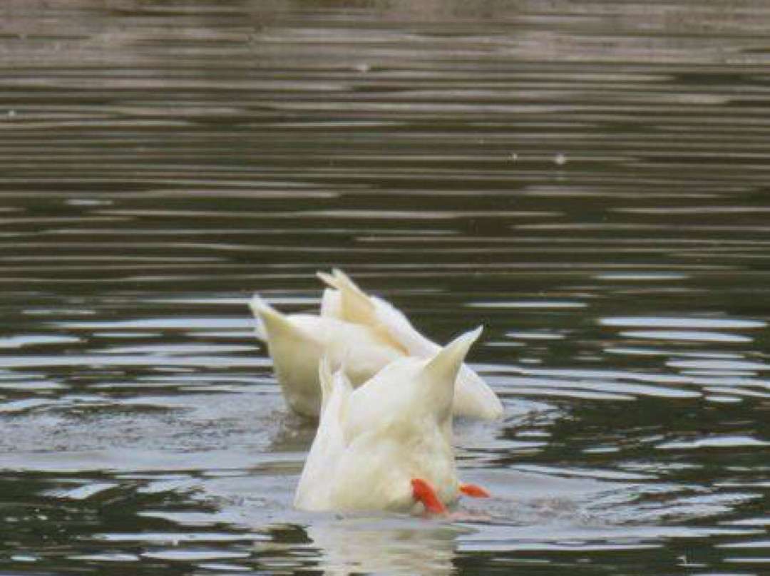 Taylor Park-托基必去景点