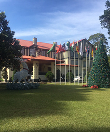 Magnolia (All Day Dining)餐厅图片