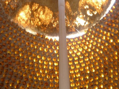 Andamooka Dukes Bottlehouse Motel主图