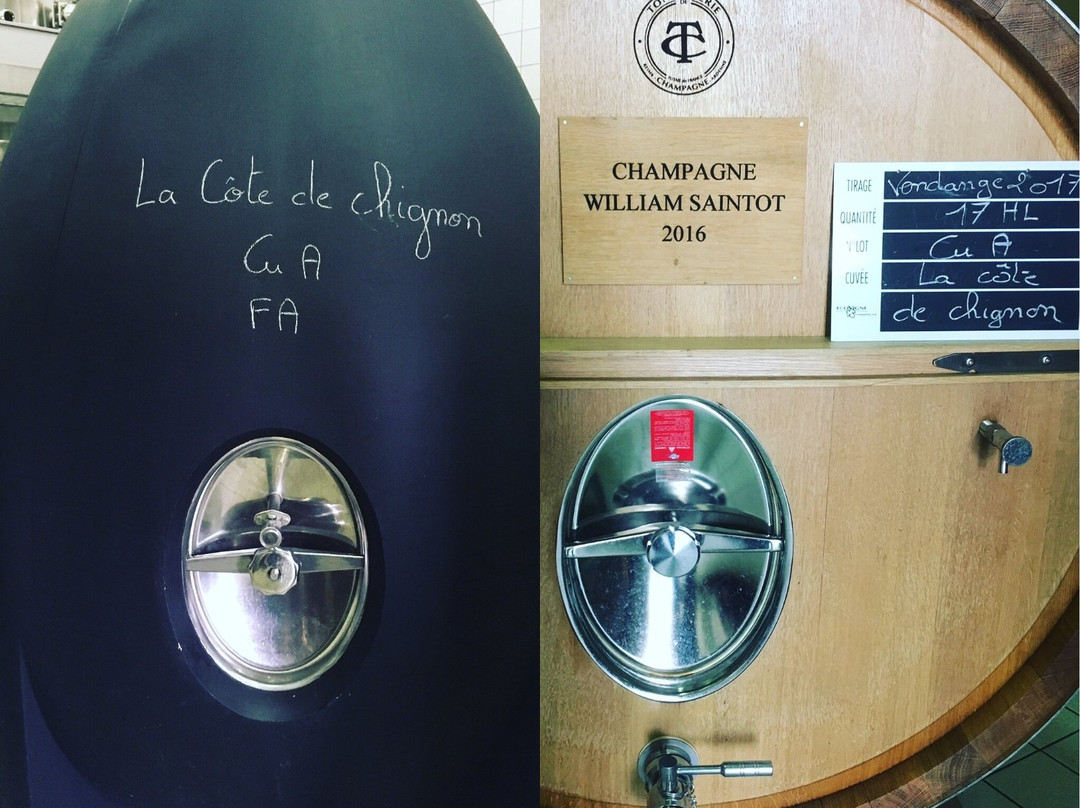 Champagne William Saintot景点图片