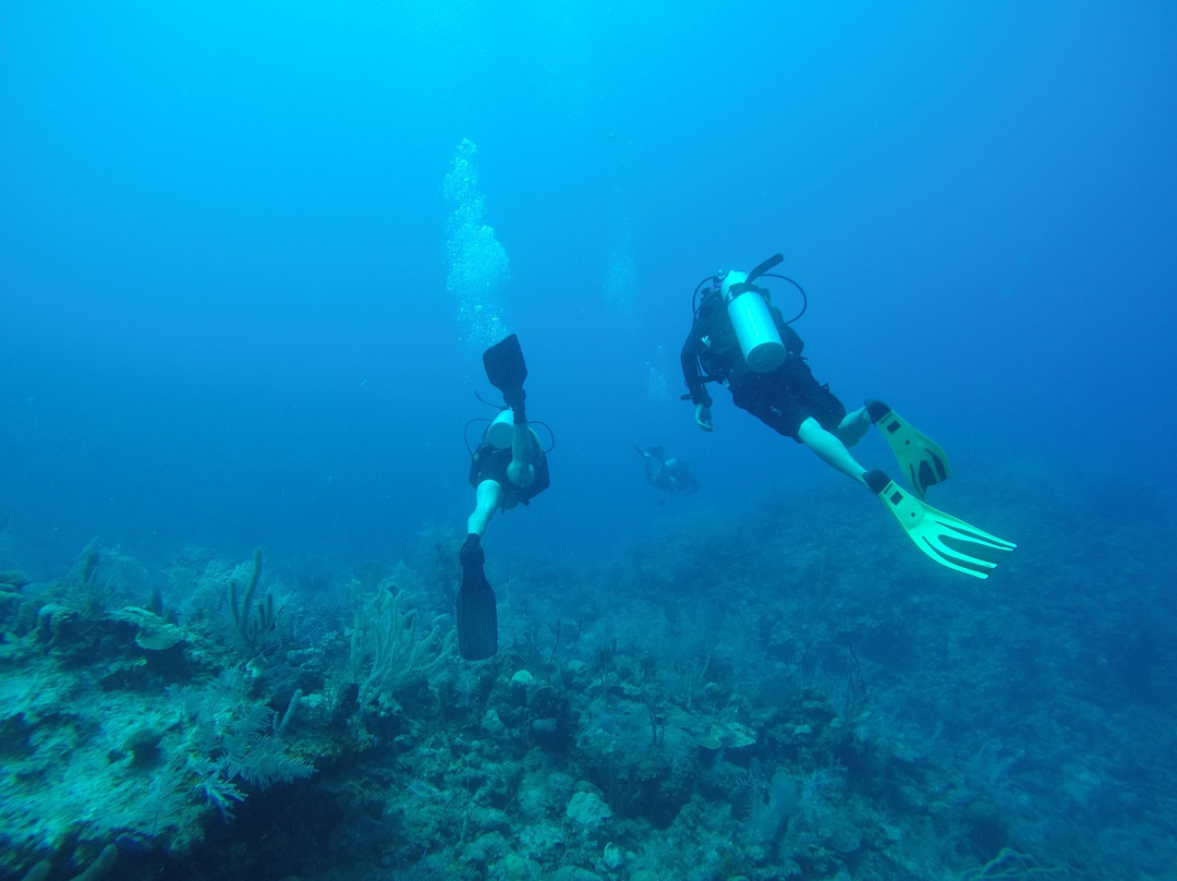 Las Antillas Diving Club景点图片