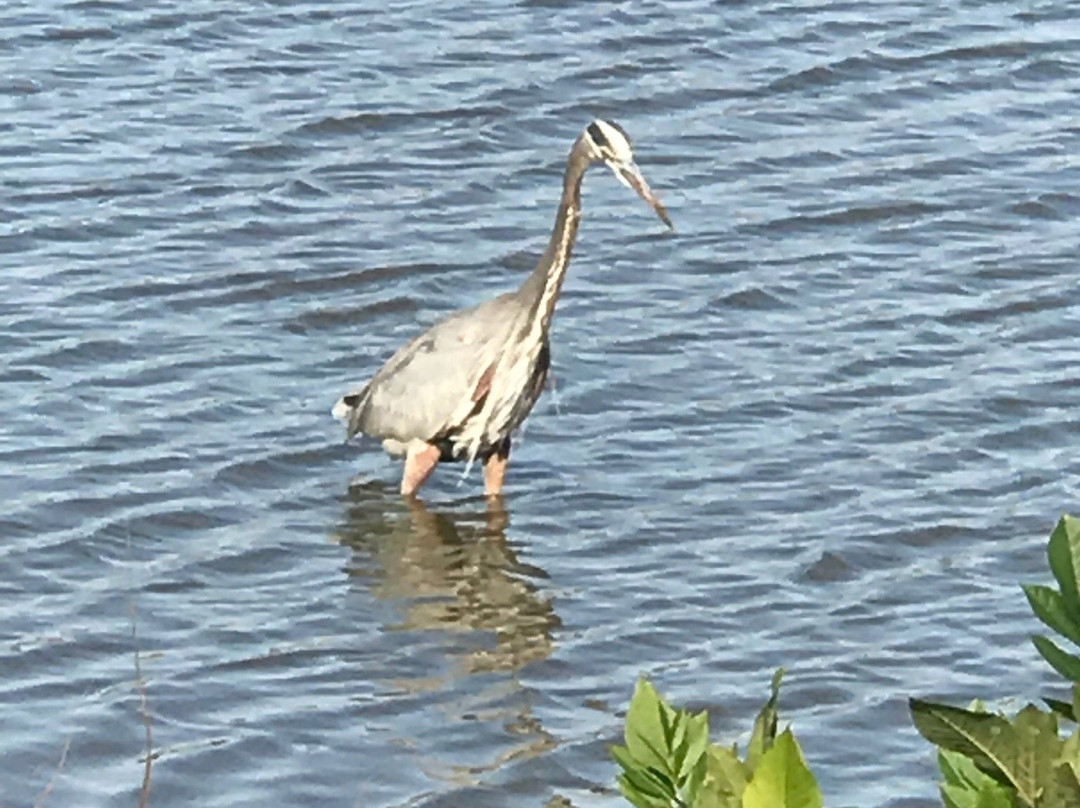 Oak Point Park & Nature Preserve-普莱诺必去景点