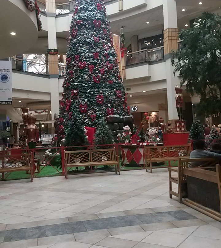 Portal Temuco-Caburgua必去景点