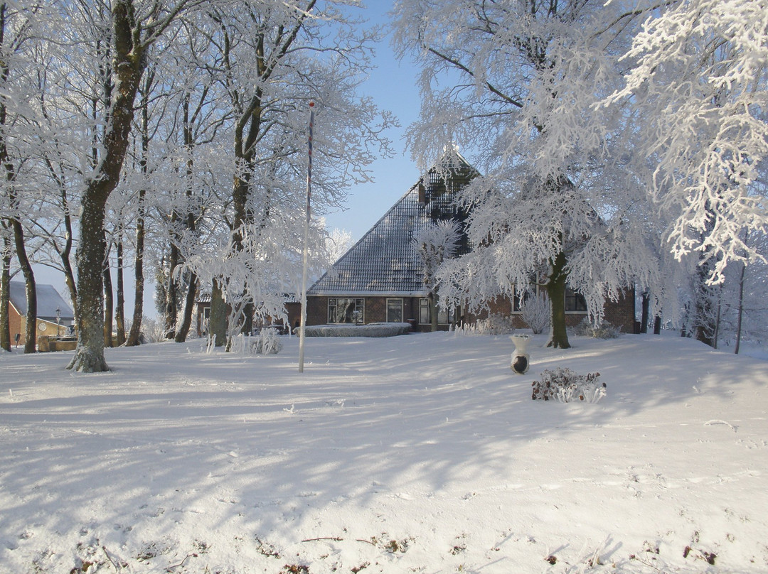 Aalsum旅游攻略图片