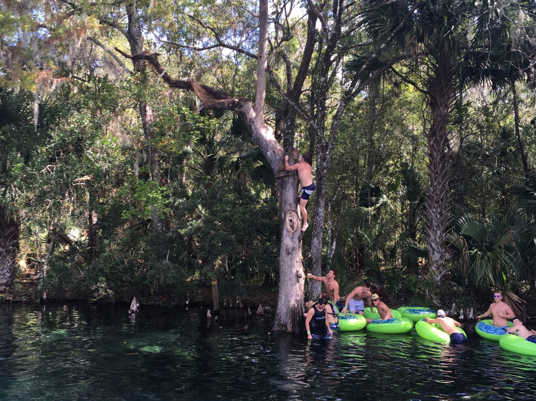 Rainbow River Tour-Dunnellon必去景点