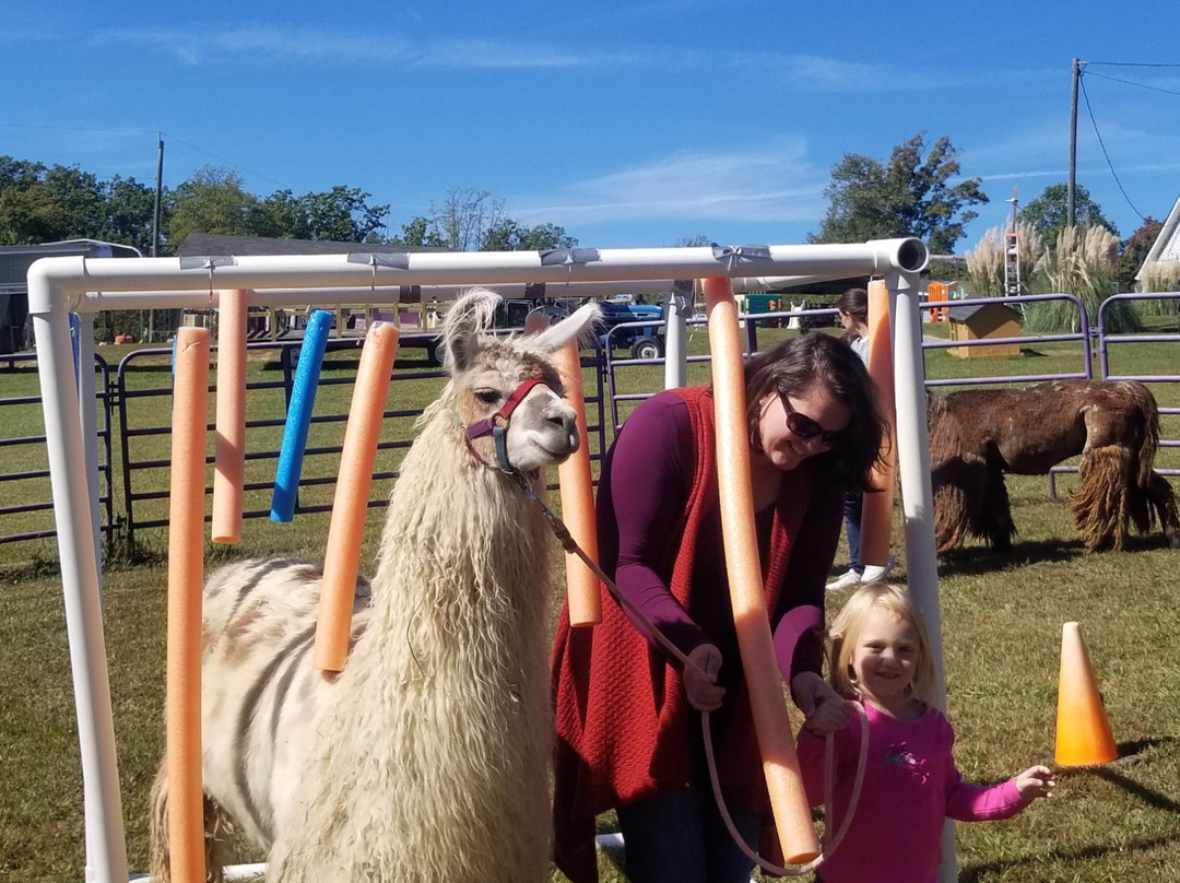 Infinity Acres Petting Ranch景点图片