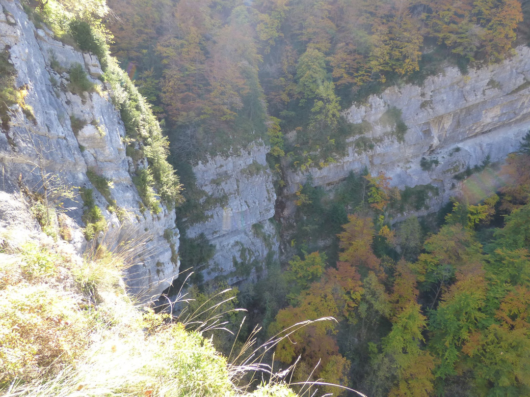 Cascade du Saut du Chien-Septmoncel必去景点