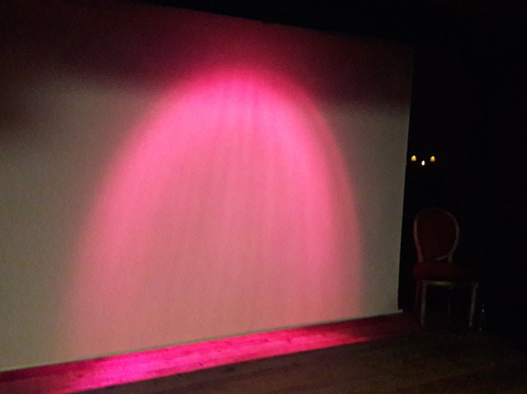 Bateau Théâtre - Le Nez Rouge-巴黎必去景点