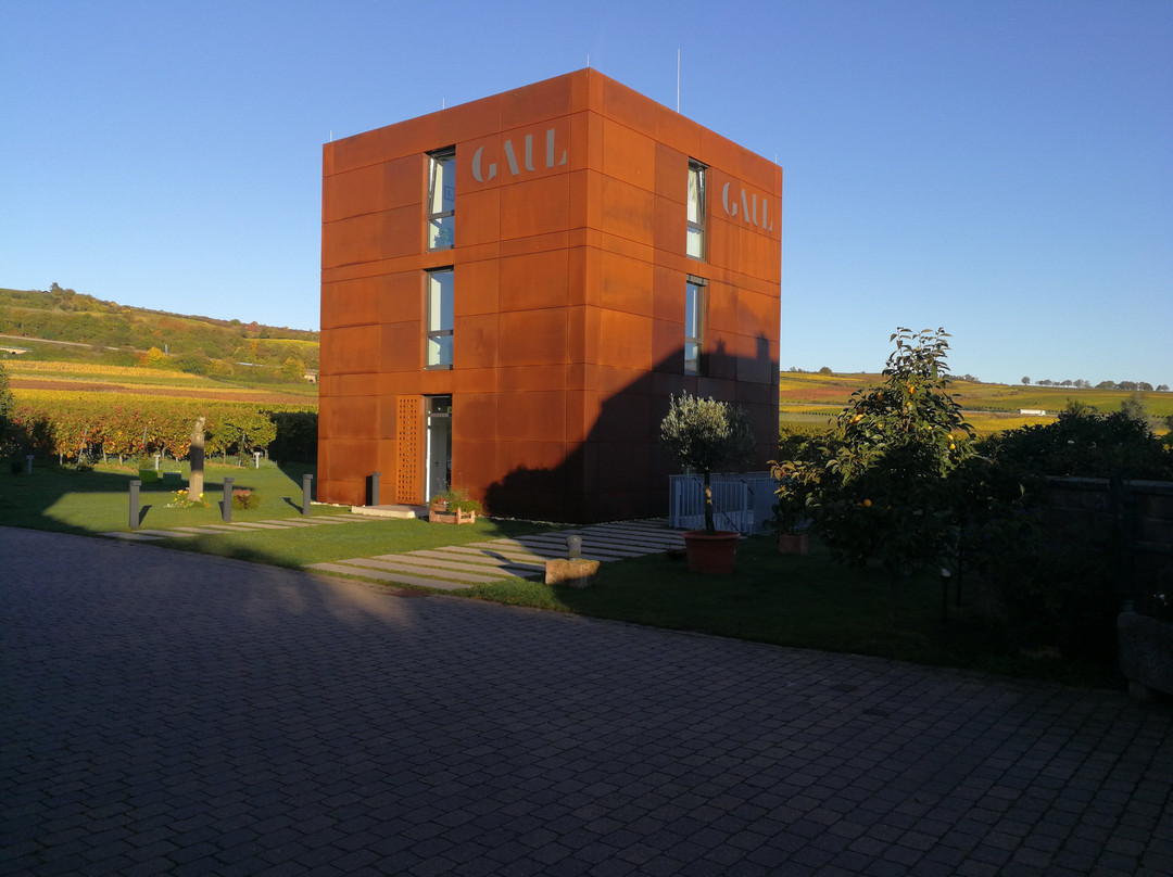 Weingut Karl-Heinz Gaul景点图片