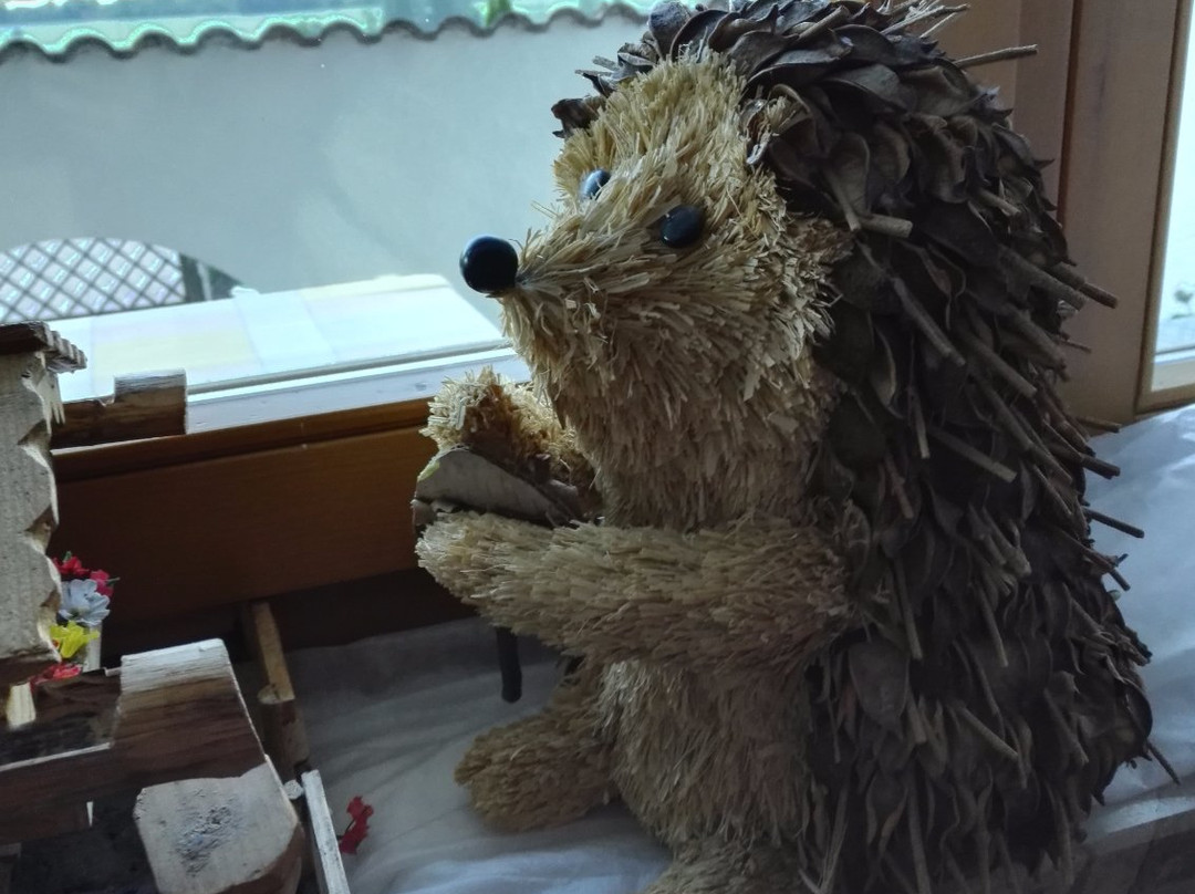 萨克斯尔酒店主图