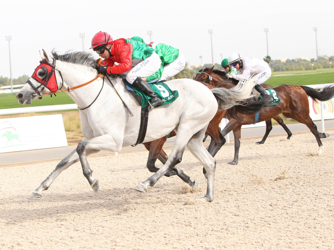 Al Ain Equestrian, Shooting & Golf Club-艾因市必去景点