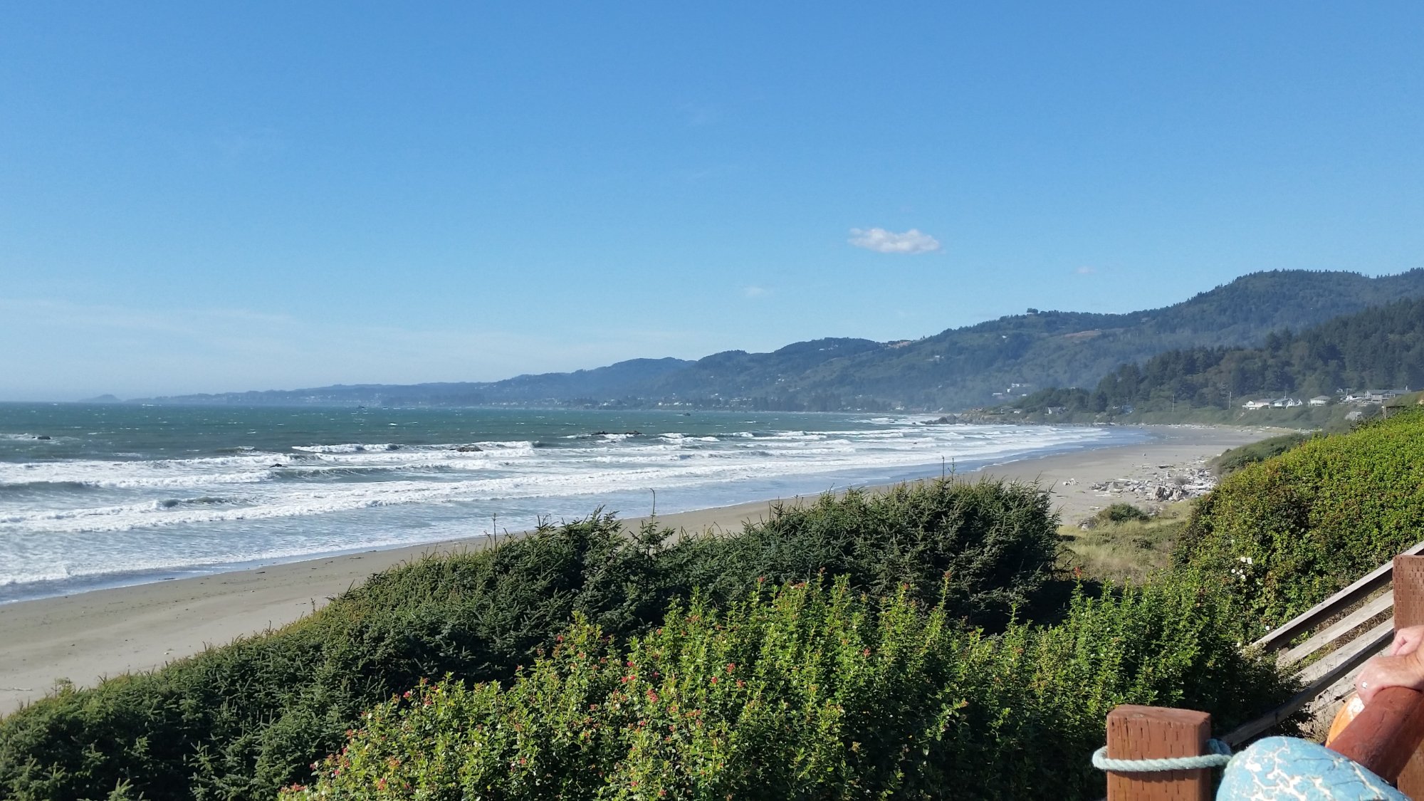 Sea Escape Oceanfront Lodging-泳池