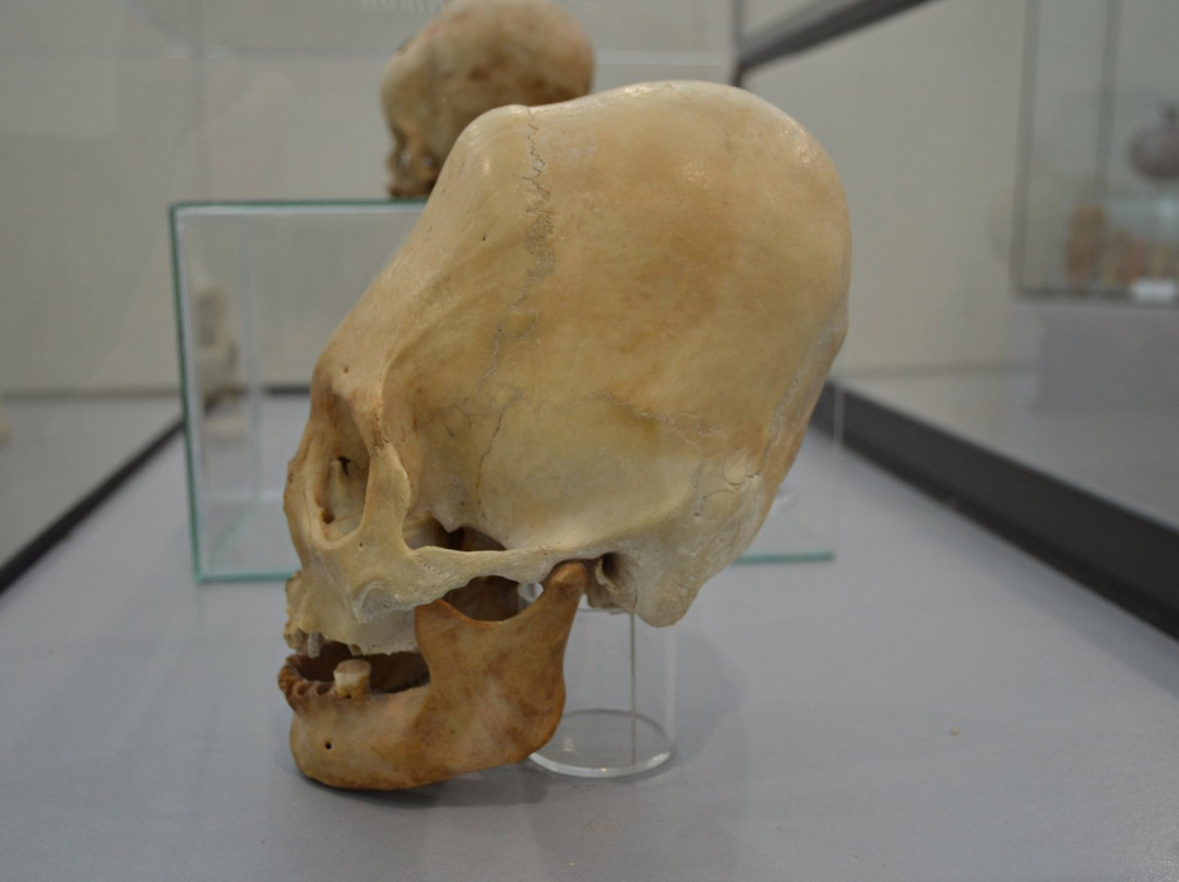 Paracas History Museum -  Juan Navarro Hierro-帕拉卡斯必去景点