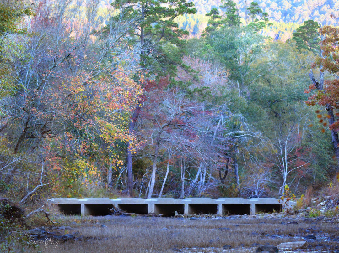 Honobia旅游攻略图片