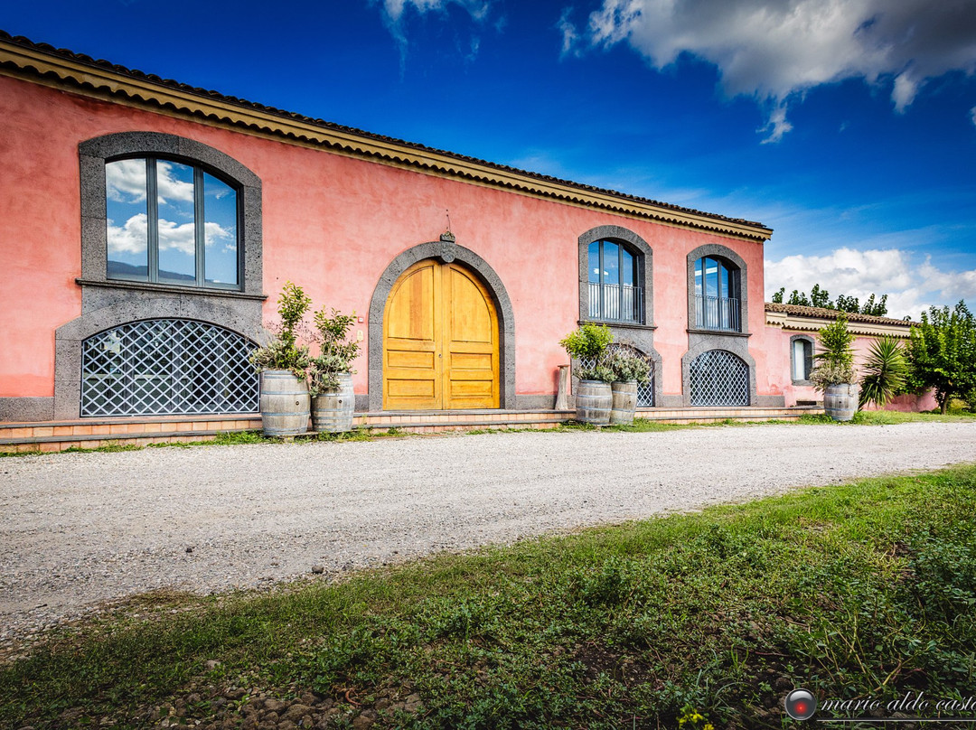 Tenuta delle Terre Nere Azienda Vinicola景点图片