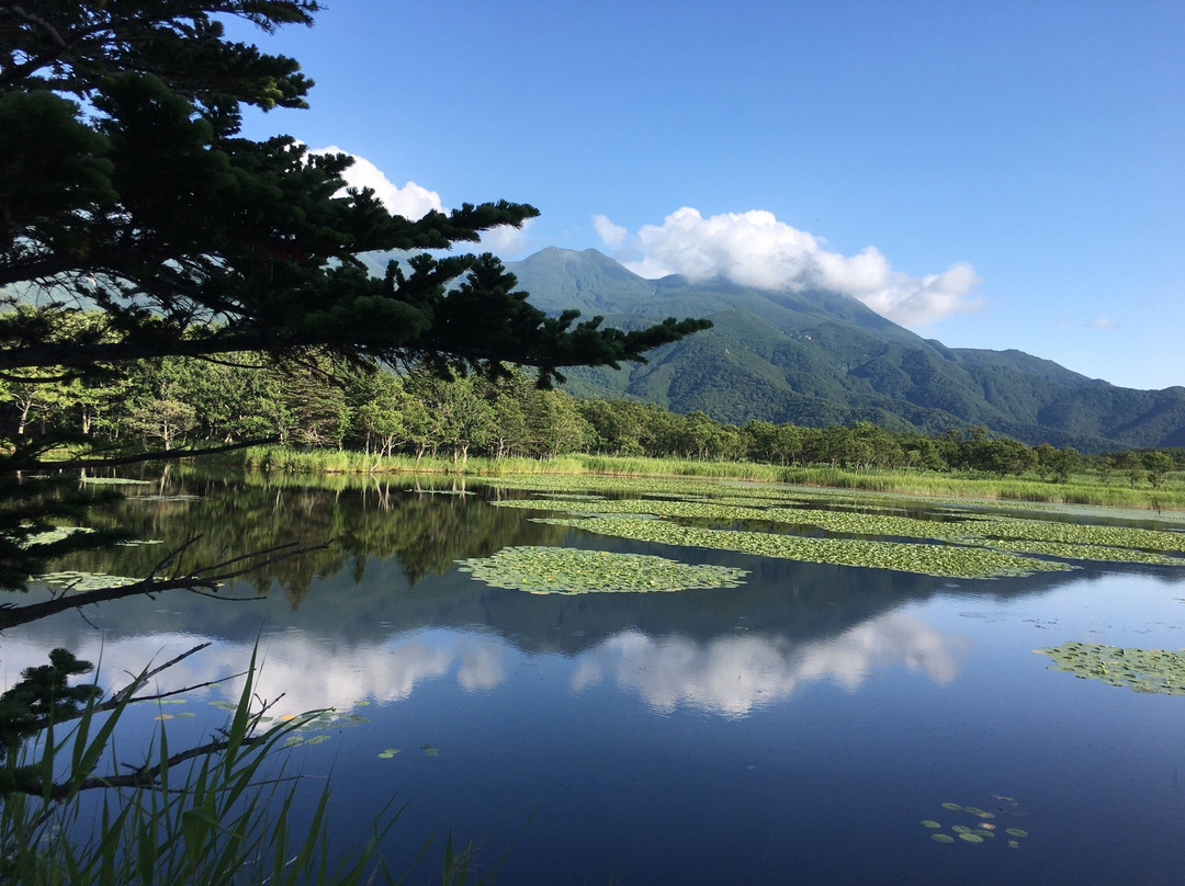 知床五湖景点图片