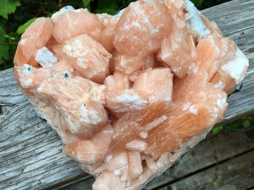 TANDMGems Fine Minerals, Crystals & Fossils景点图片