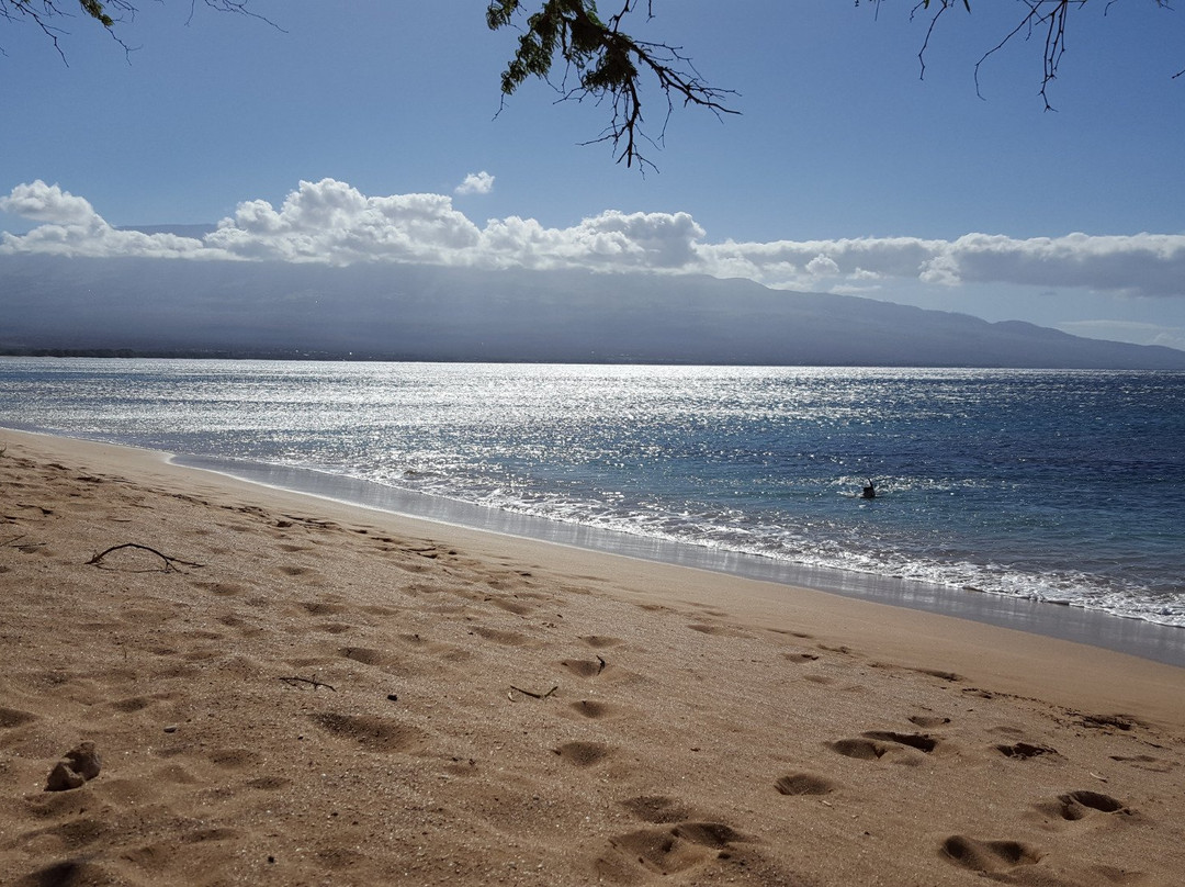 Haycraft Park-玛阿拉也亚必去景点