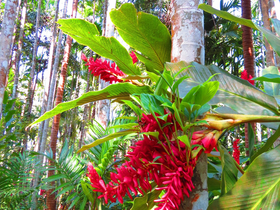 Pascoal spice village-Ponda必去景点