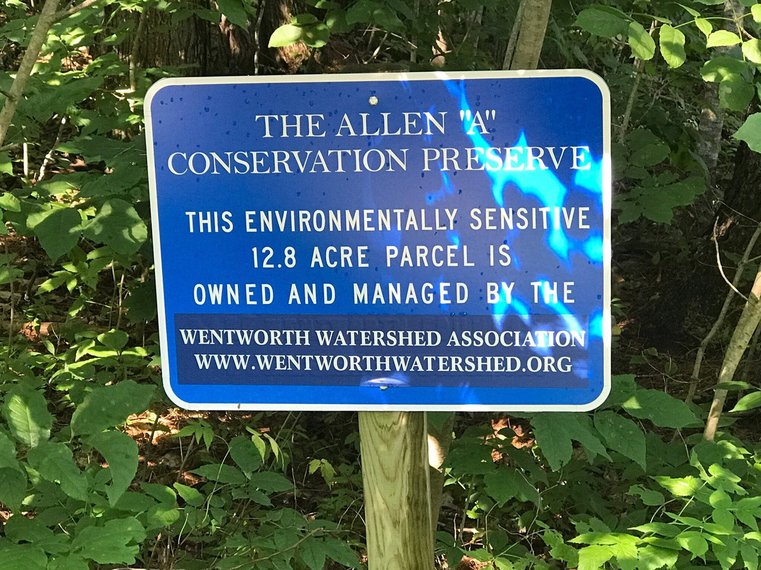 Allen Albee Beach-沃尔夫伯勒必去景点