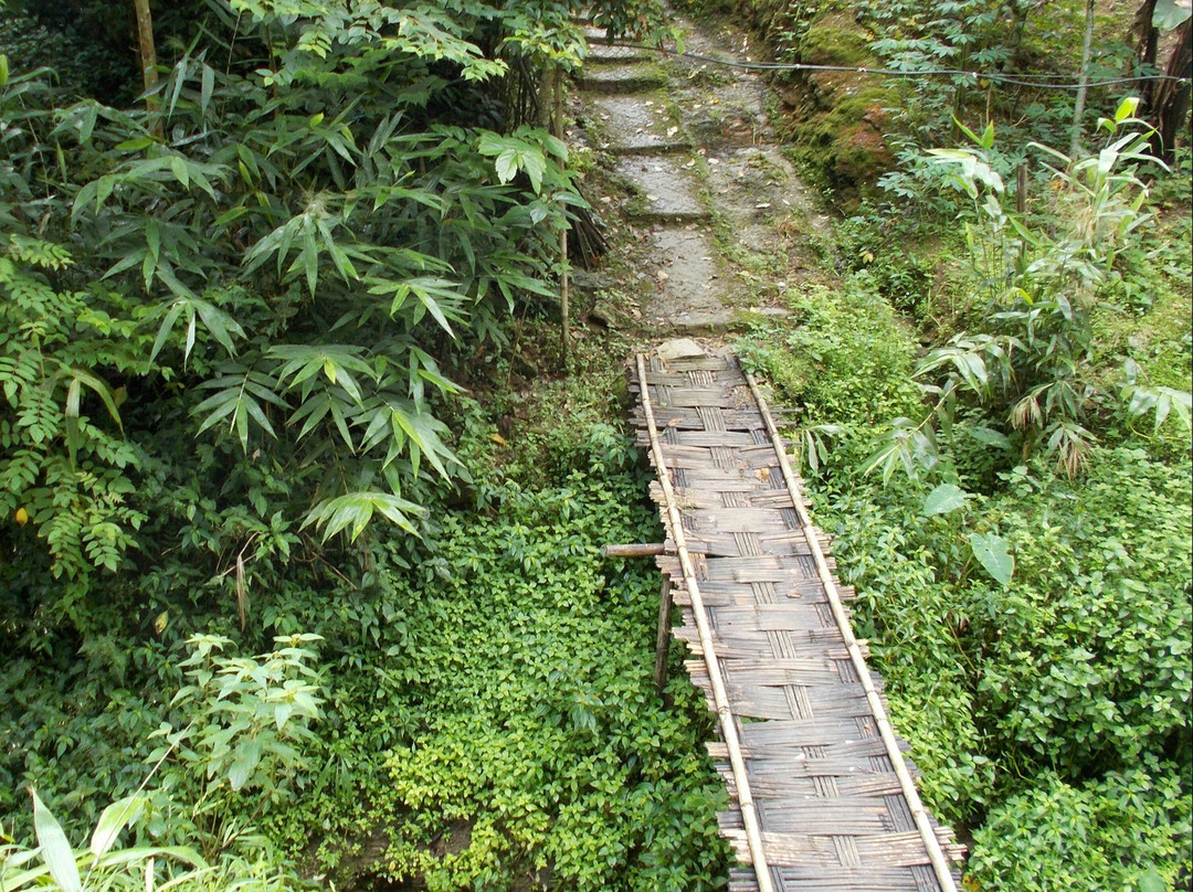 Ungma-Mokokchung必去景点