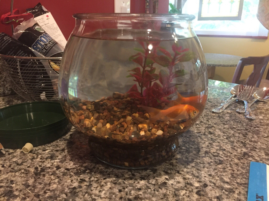 Frog Pond Wetland Preserve-锡赛德必去景点