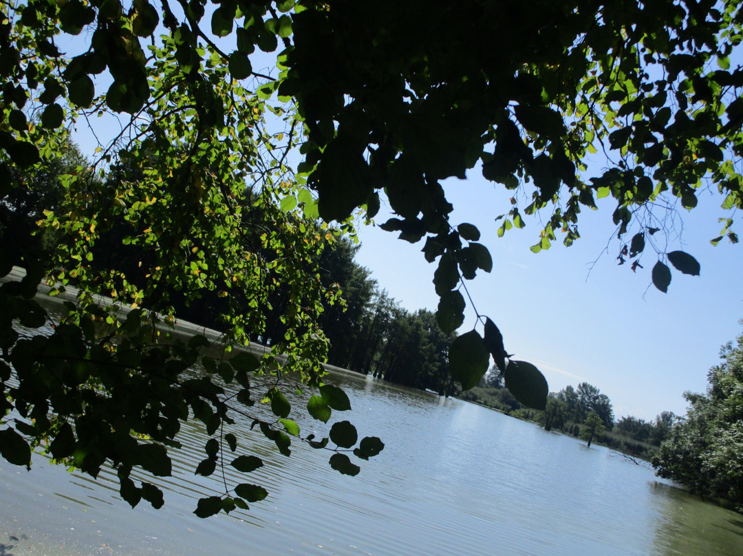 Etang de Boulieu景点图片