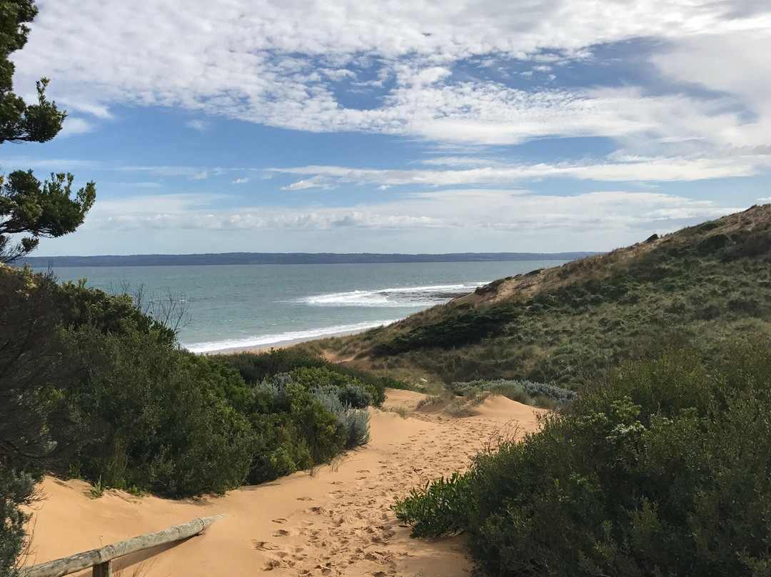 Flynns Beach景点图片
