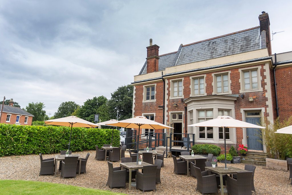 The Mulberry Tree主图