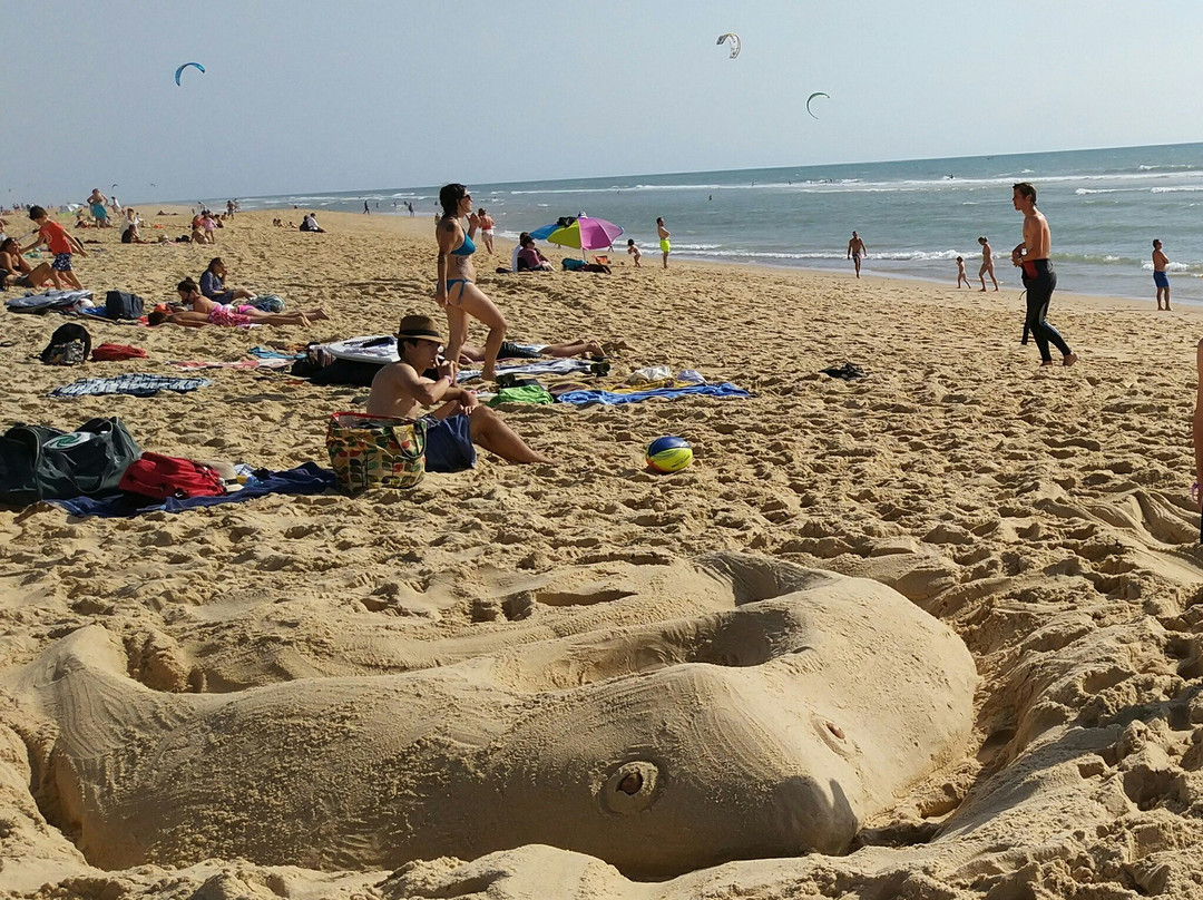 Plage de l'Horizon景点图片