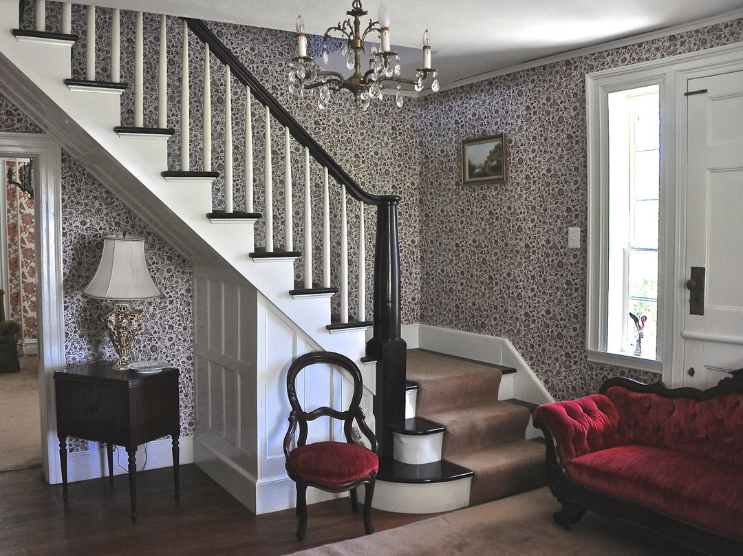 Violet Hill Bed and Breakfast主图