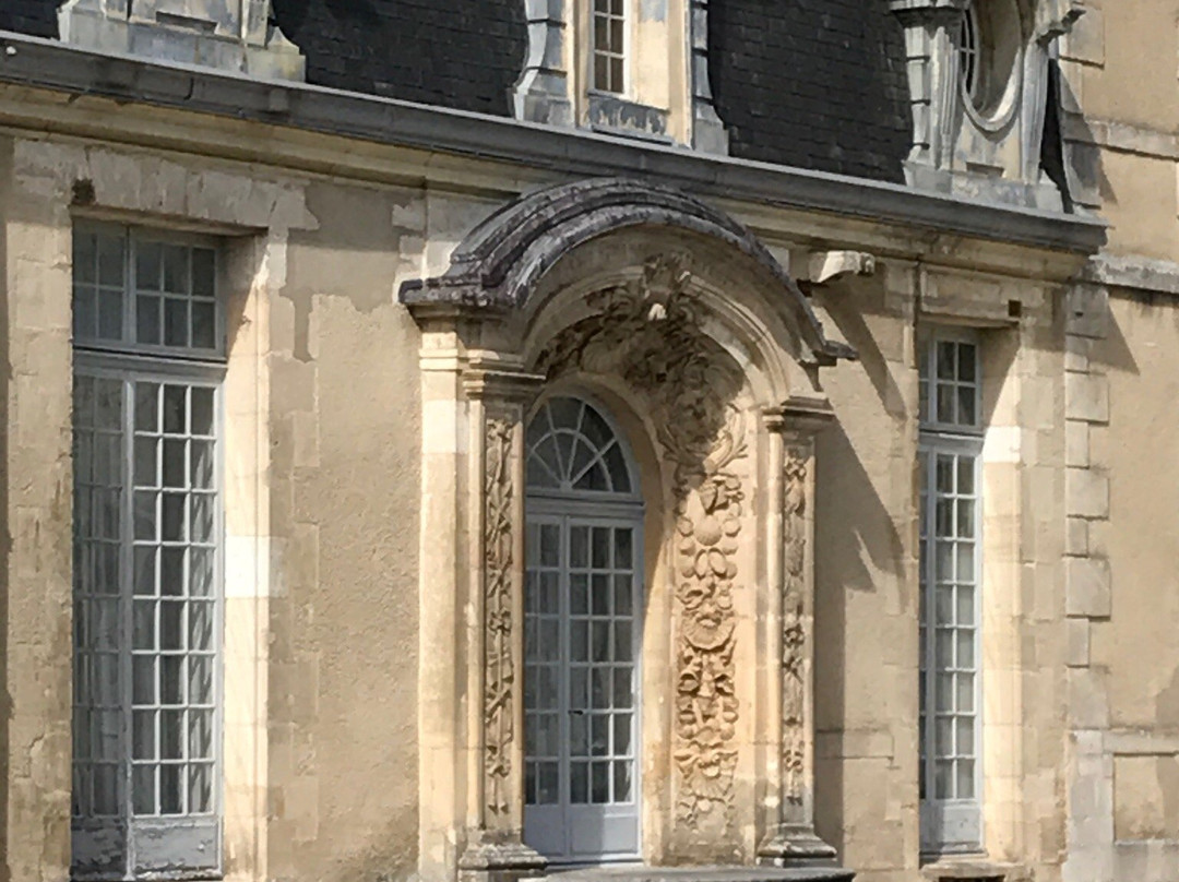Chateau de Cirey景点图片