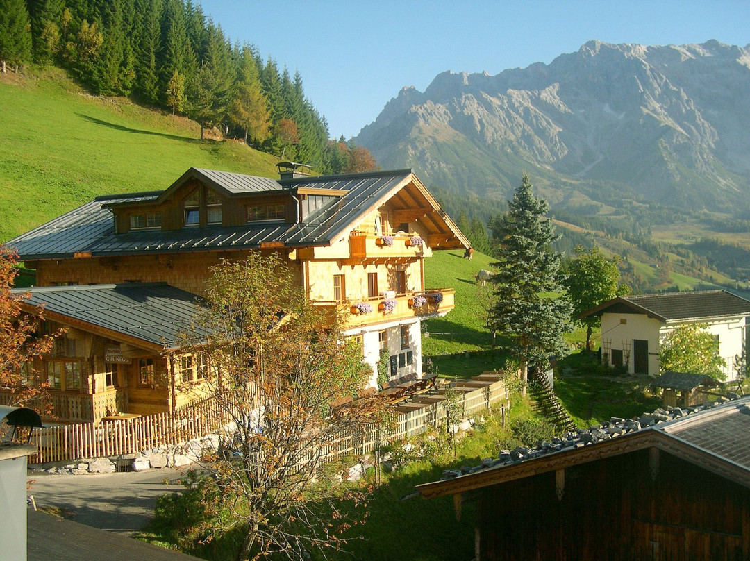 Dienten am Hochkönig餐馆和美食-Gruenegg Alm