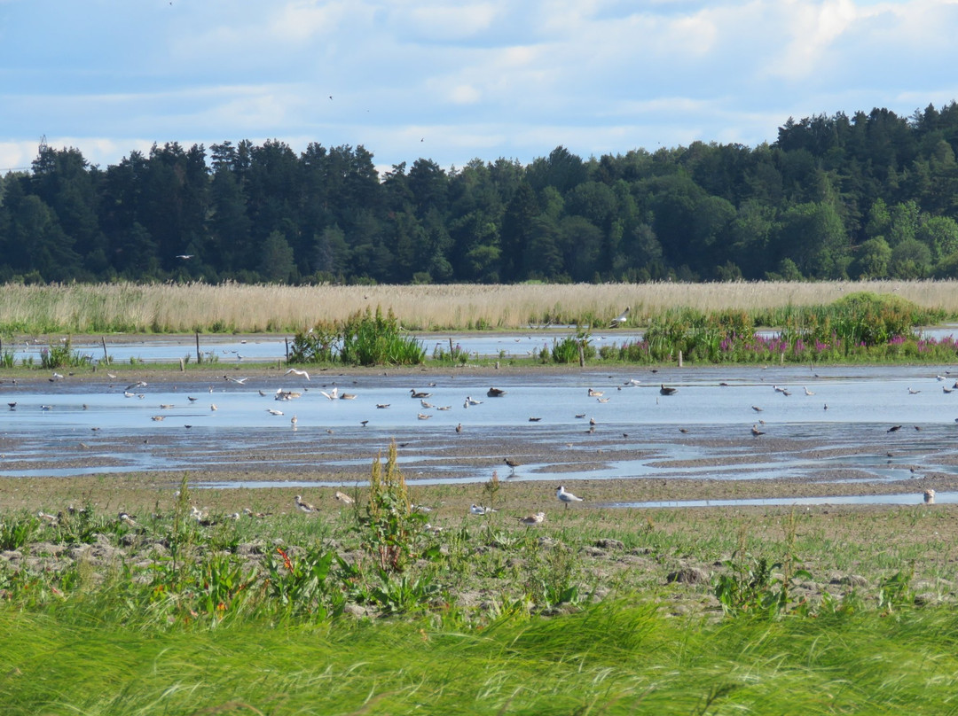 Hjälstaviken Naturreservat-Enkoping必去景点