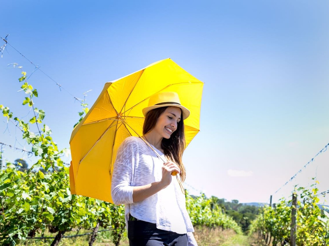 Experimente Brasília-巴西利亚必去景点