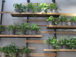 Gallery 4