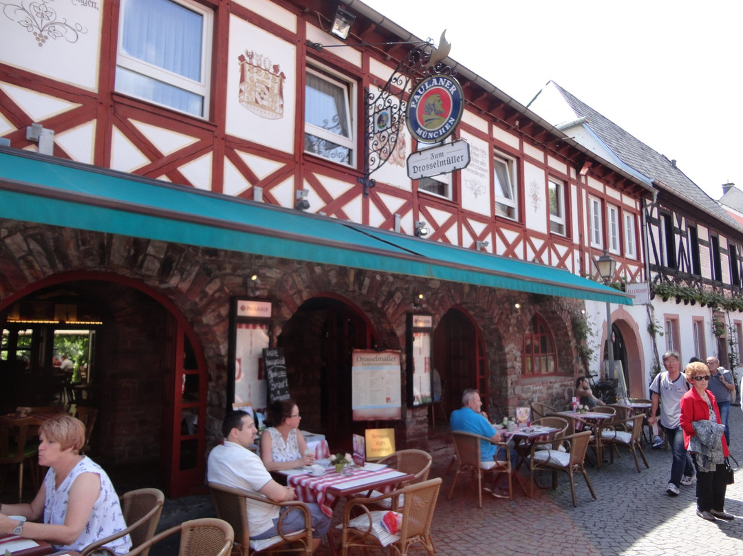 Paulaner Stube