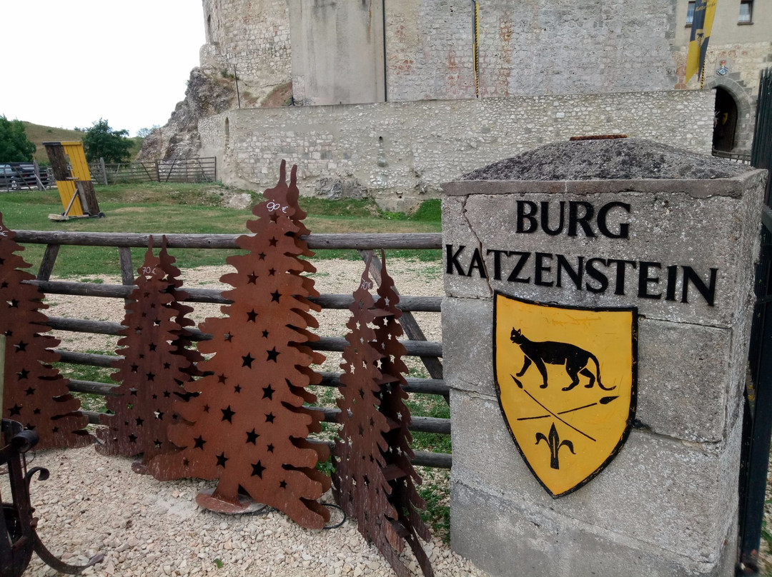Burg Katzenstein景点图片