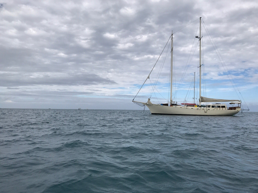 Wayward Wind Charters Fiji-Viseisei必去景点
