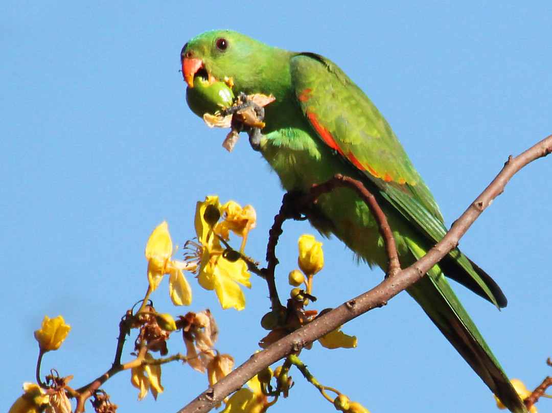 Experience the Wild-达尔文市必去景点