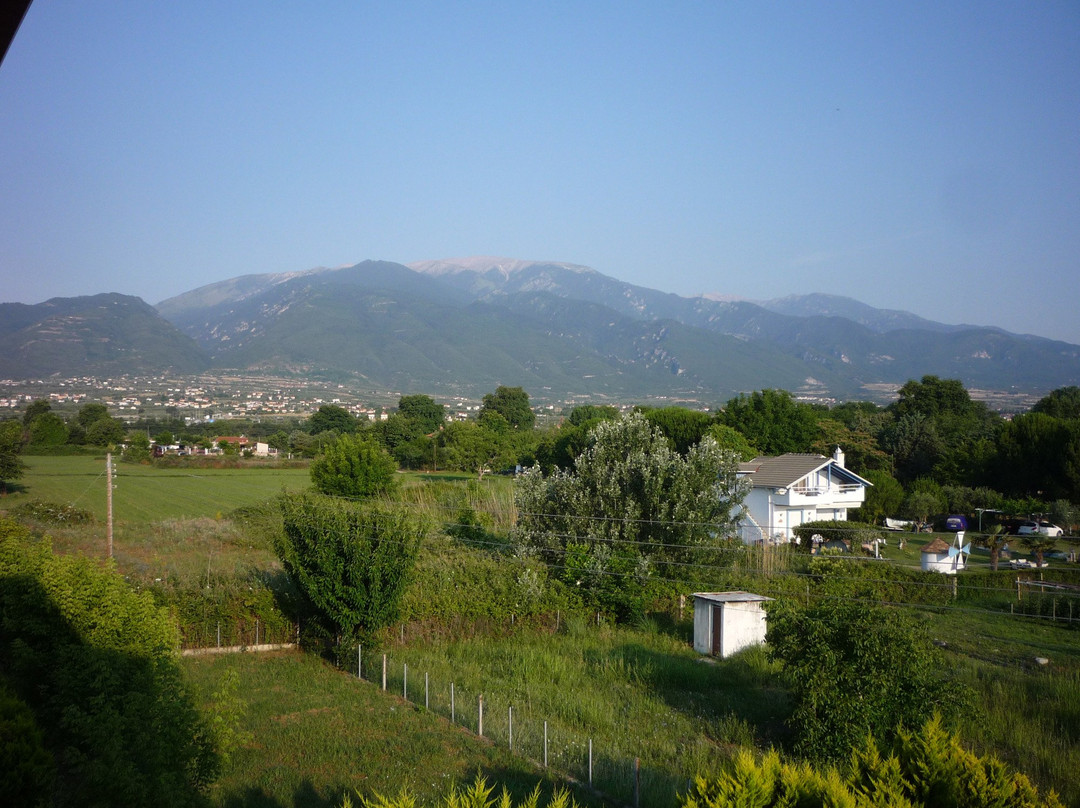Akrothalassia