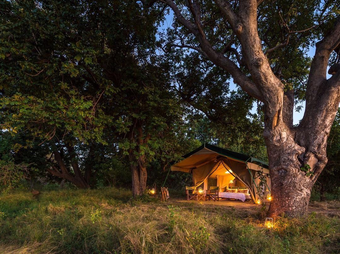 John's Camp - Robin Pope Safaris主图