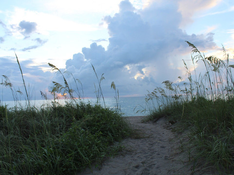 South Beach Park-匹尔斯堡必去景点