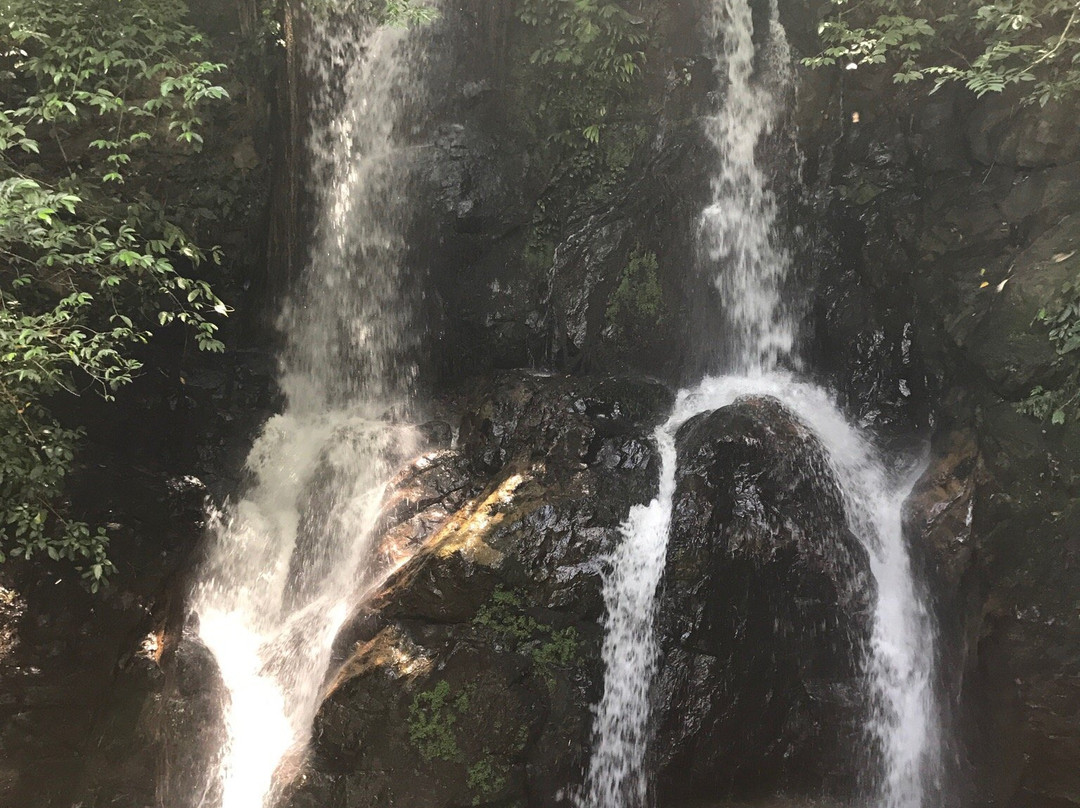 Yayas Falls景点图片